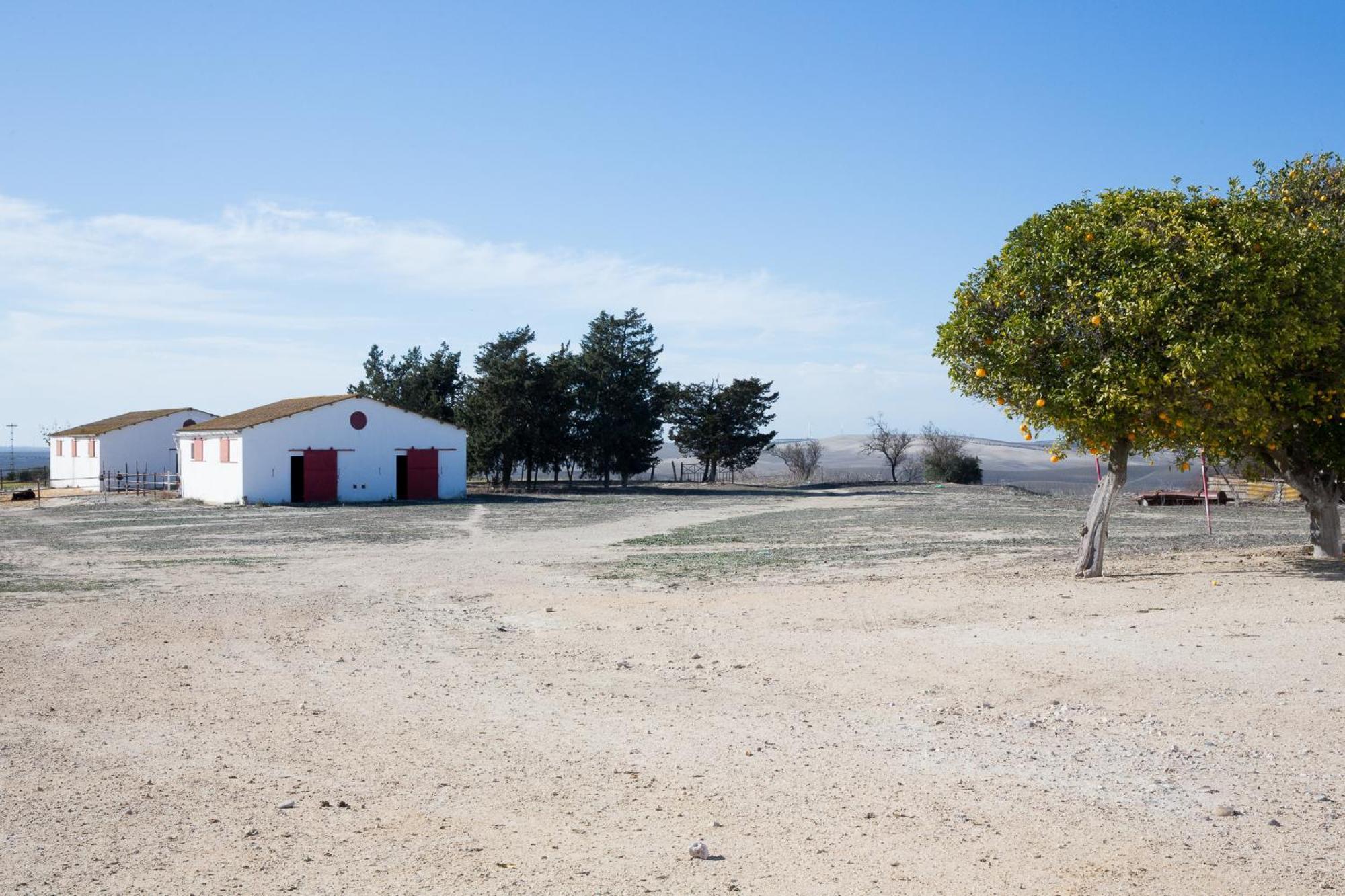 Вилла Cortijo Rural La Mariscala Херес-де-ла-Фронтера Экстерьер фото
