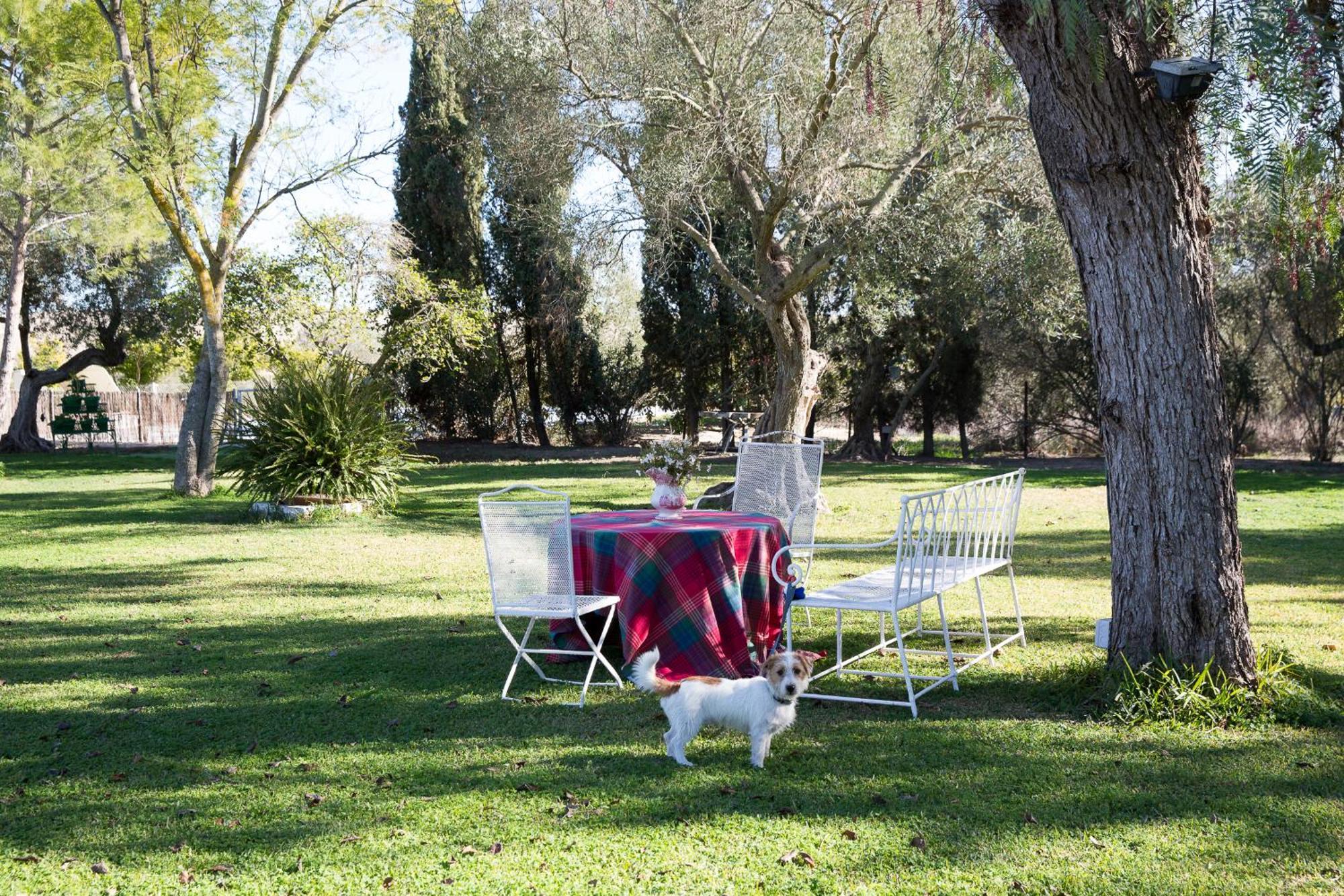 Вилла Cortijo Rural La Mariscala Херес-де-ла-Фронтера Экстерьер фото